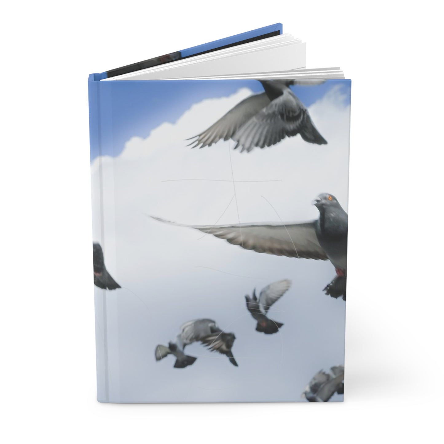 Birds in flight hardcover lined journal - matte finish