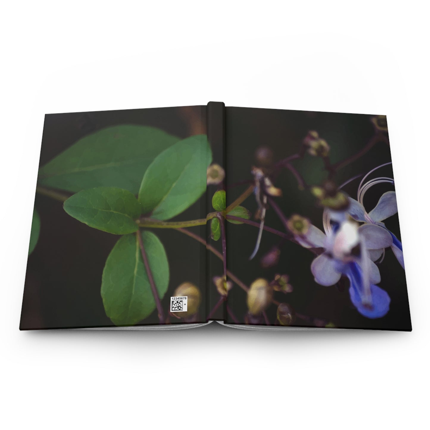 Orchid peering out from the darkness hardcover journal - matte finish