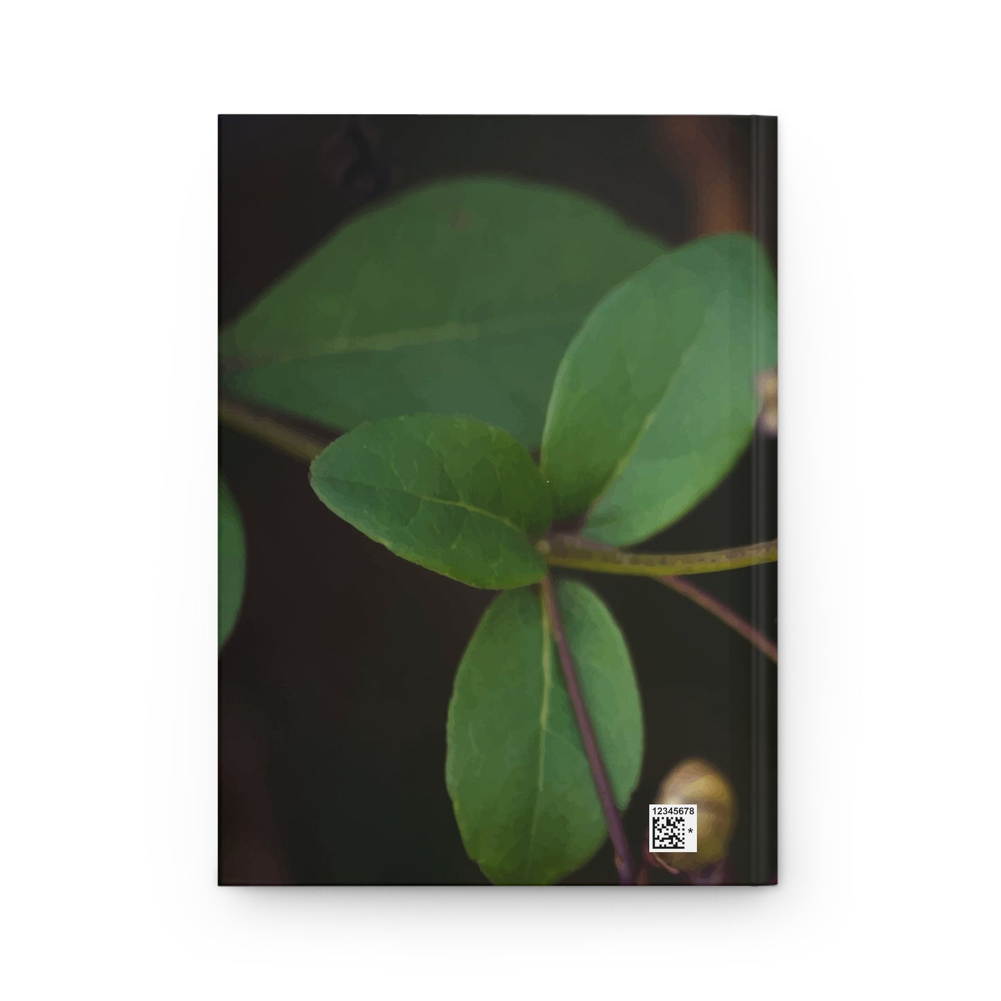 Orchid peering out from the darkness hardcover journal - matte finish