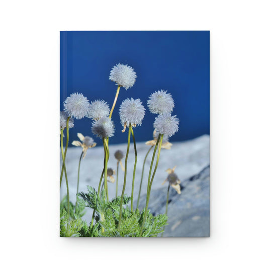 Happy dandelions swaying over a deep blue lake hardcover journal - matte finish